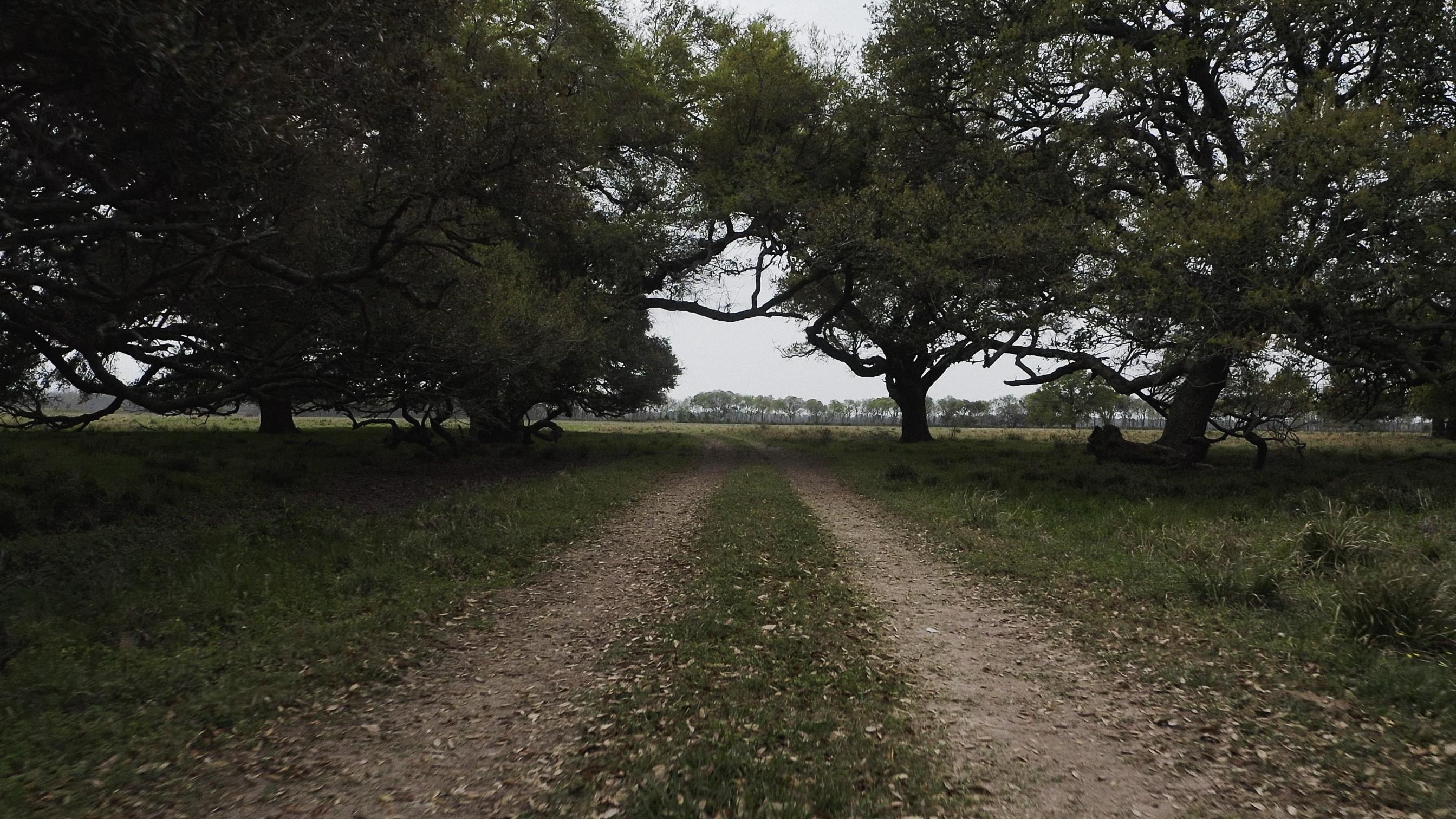 Country road